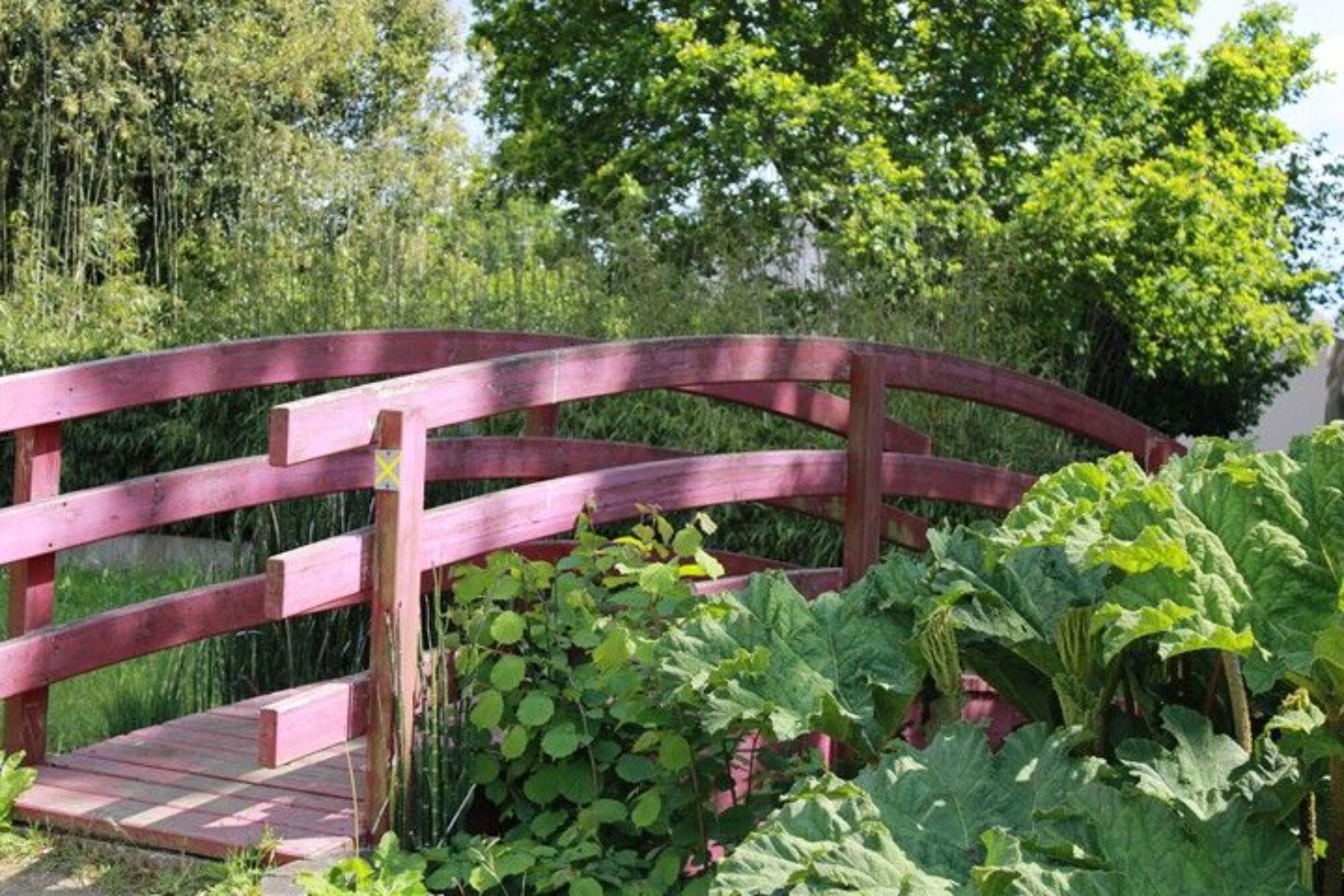 Pont du parc.