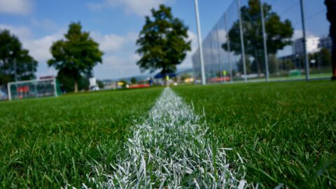 Photo représentant le bord d'un terrain de football avec sa ligne blanche de touche